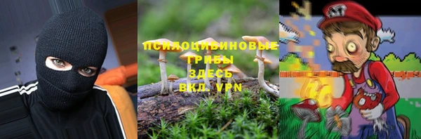 шишки Алзамай