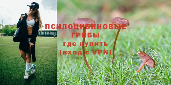 трава Алексин