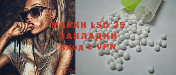 шишки Алзамай