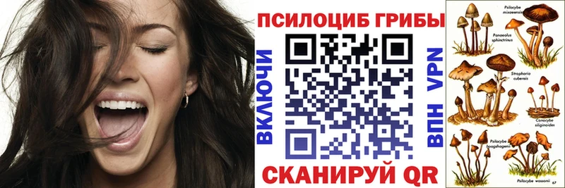 hydra зеркало  Люберцы  Галлюциногенные грибы мицелий  где продают  