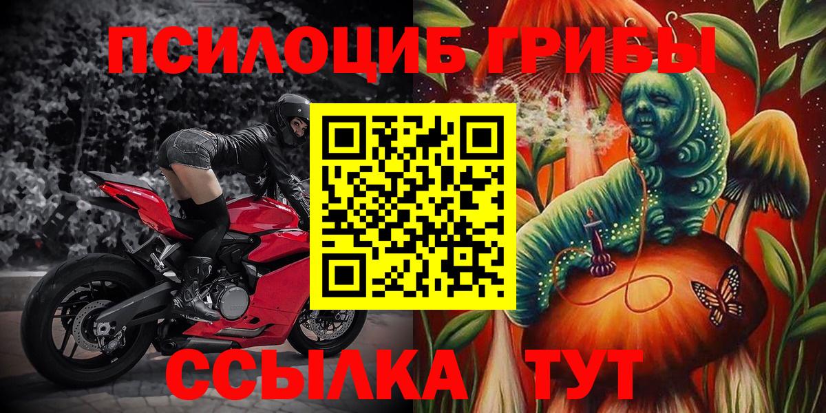 Галлюциногенные грибы прущие грибы Люберцы
