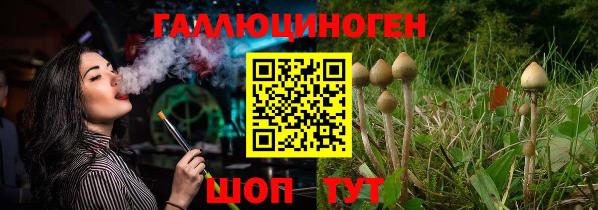 Люберцы  Галлюциногенные грибы мицелий  Вход с VPN 